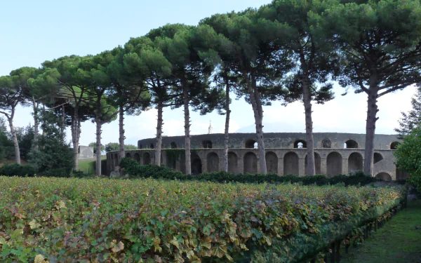 man made amphitheatre of pompeii HD Desktop Wallpaper | Background Image