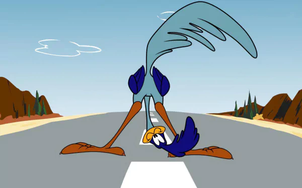 Road Runner Wile E. Coyote and The Road Runner TV Show Looney Tunes HD Desktop Wallpaper | Background Image