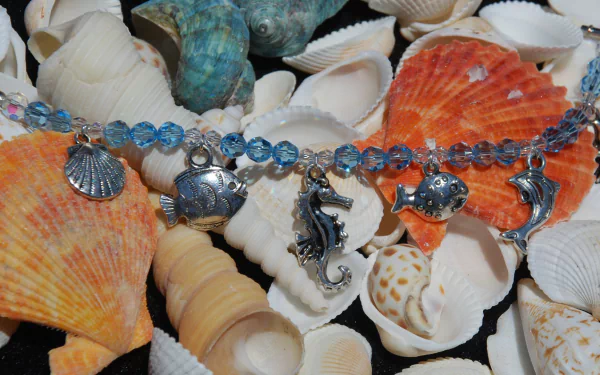 man made bracelet HD Desktop Wallpaper | Background Image