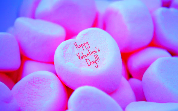 Happy Valentine's Day holiday Valentine's Day HD Desktop Wallpaper | Background Image