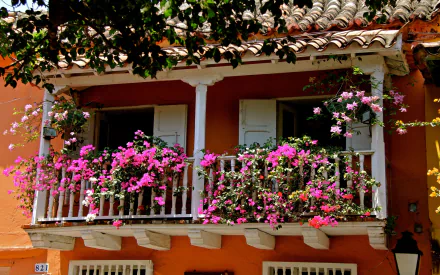  Balcony full of flowers