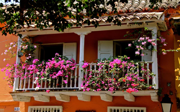  Balcony full of flowers