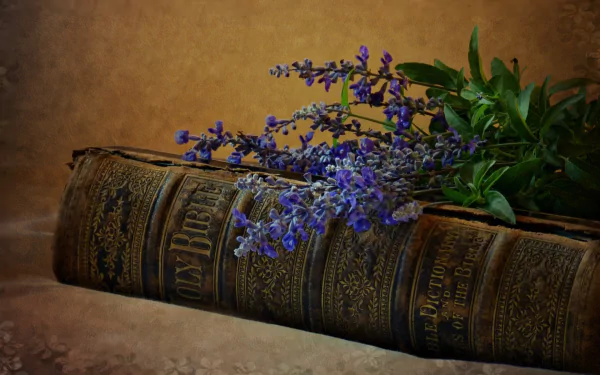  Beautiful old Bible