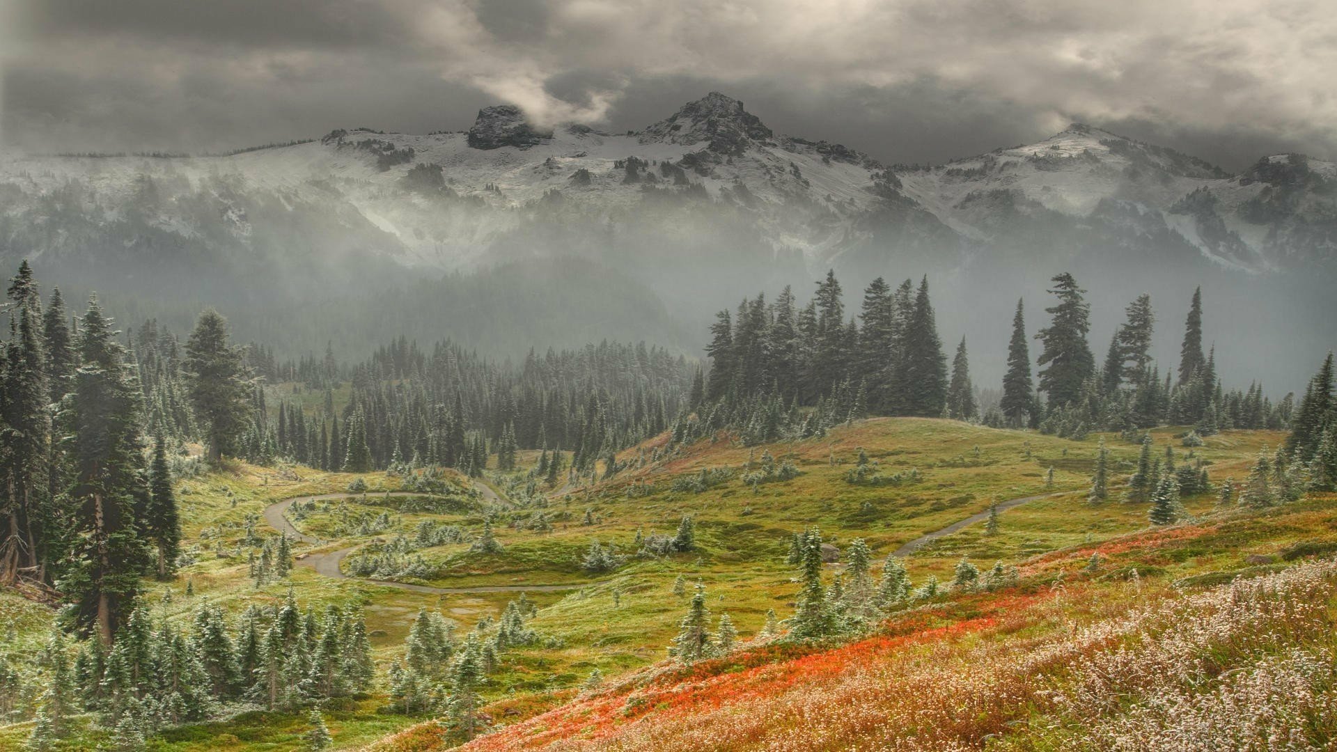 HD desktop wallpaper featuring a serene mountain landscape with fog, pine trees, and colorful wildflowers under a cloudy sky.