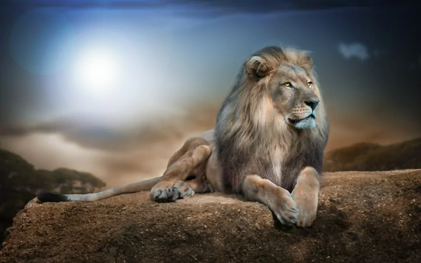HD wallpaper featuring a majestic lion reclining on a rock with a dramatic sky and mountain backdrop.