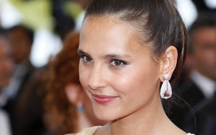 French actress Celebrity Virginie Ledoyen HD Desktop Wallpaper | Background Image