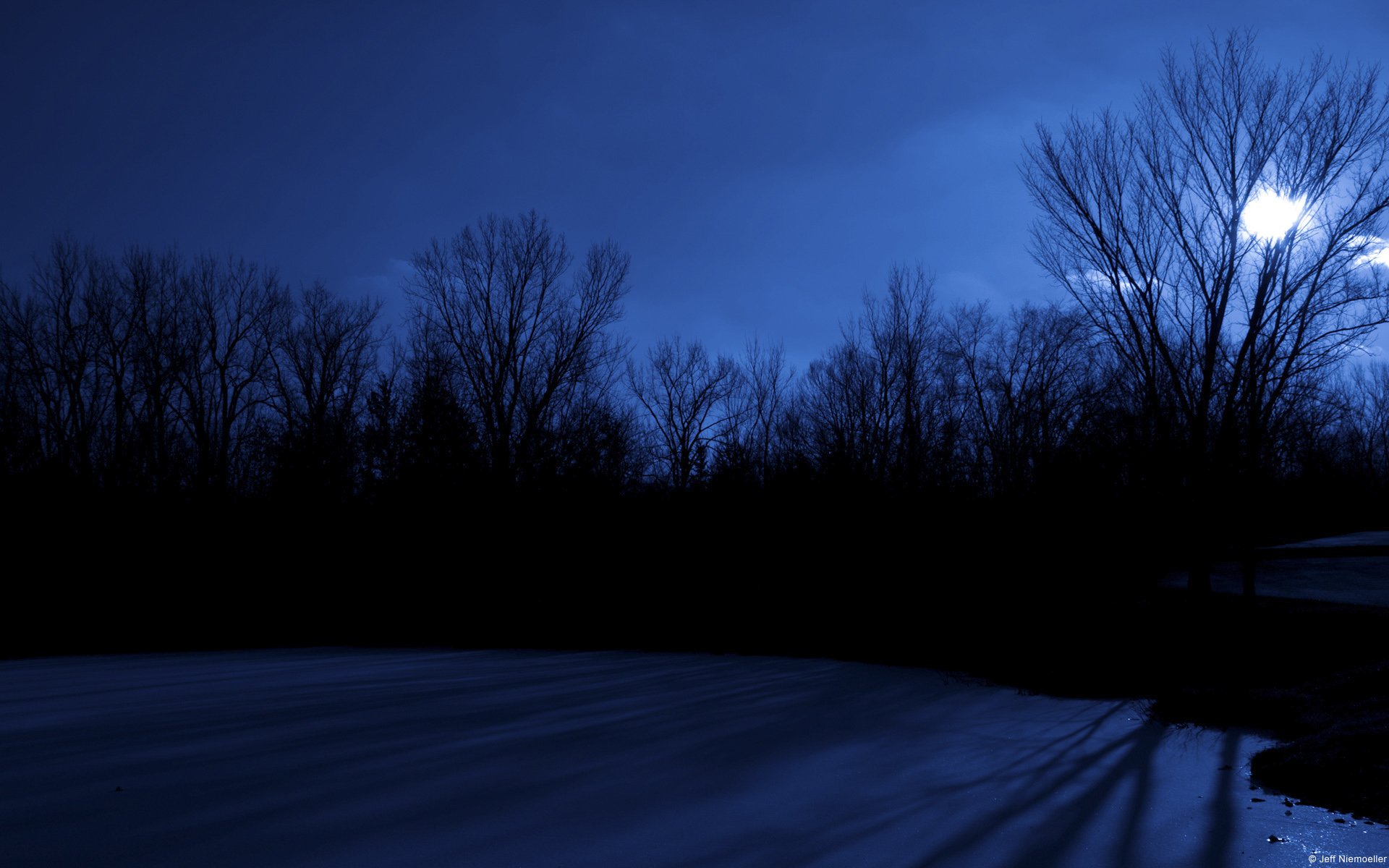 HD PC desktop wallpaper showing a calm night scene with bare trees silhouetted against a deep blue sky and a glowing moon partially hidden behind branches.