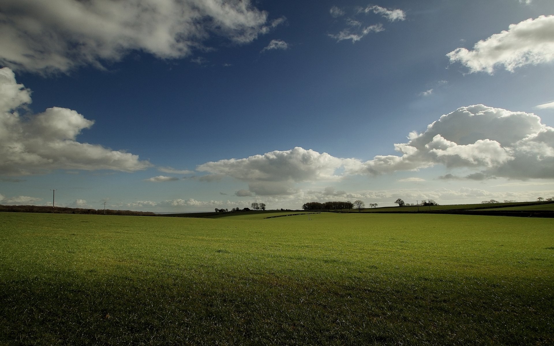 Download Nature Field HD Wallpaper | 1920x1200 | Wallpaper Abyss
