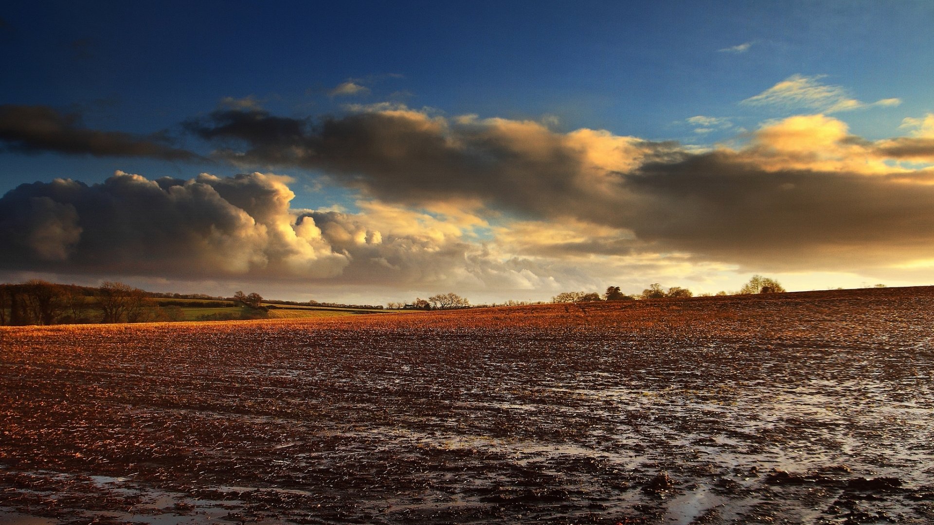 HD PC desktop wallpaper: nature field at sunset — muddy plowed foreground, golden light on distant trees beneath dramatic, cloud-filled sky.