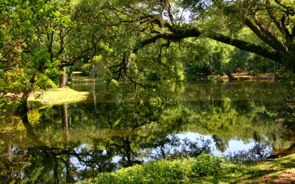  Reflective Afternoon