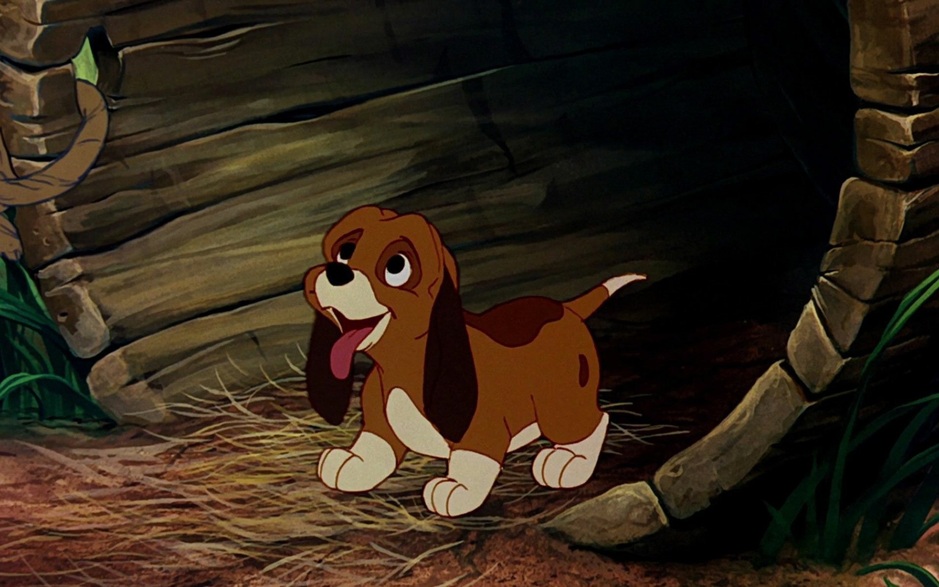 The Fox and the Hound HD Wallpaper