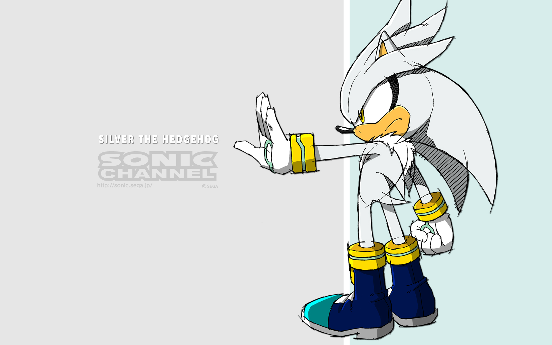 silver the hedgehog and blaze the cat story