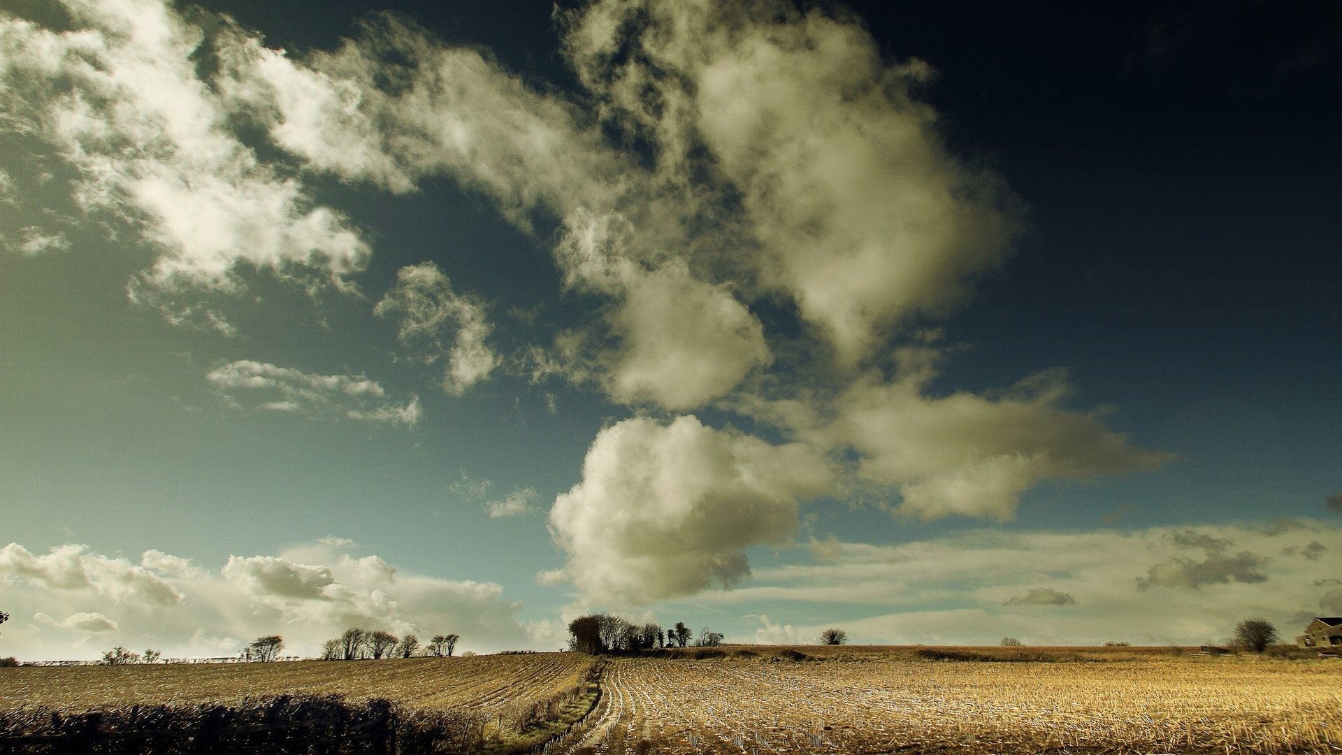 Download Nature Field HD Wallpaper