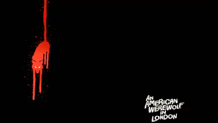movie An American Werewolf In London (1981) HD Desktop Wallpaper | Background Image