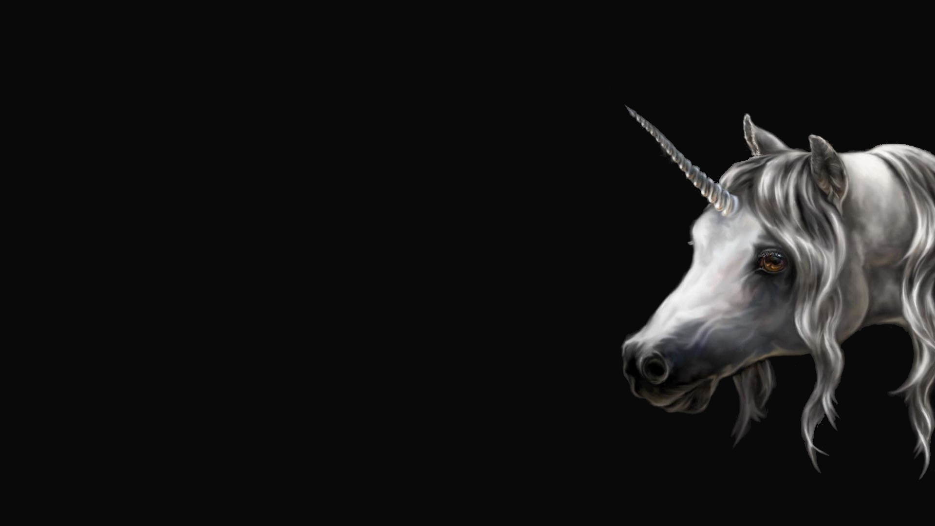 Fantasy Unicorn HD Wallpaper | Background Image