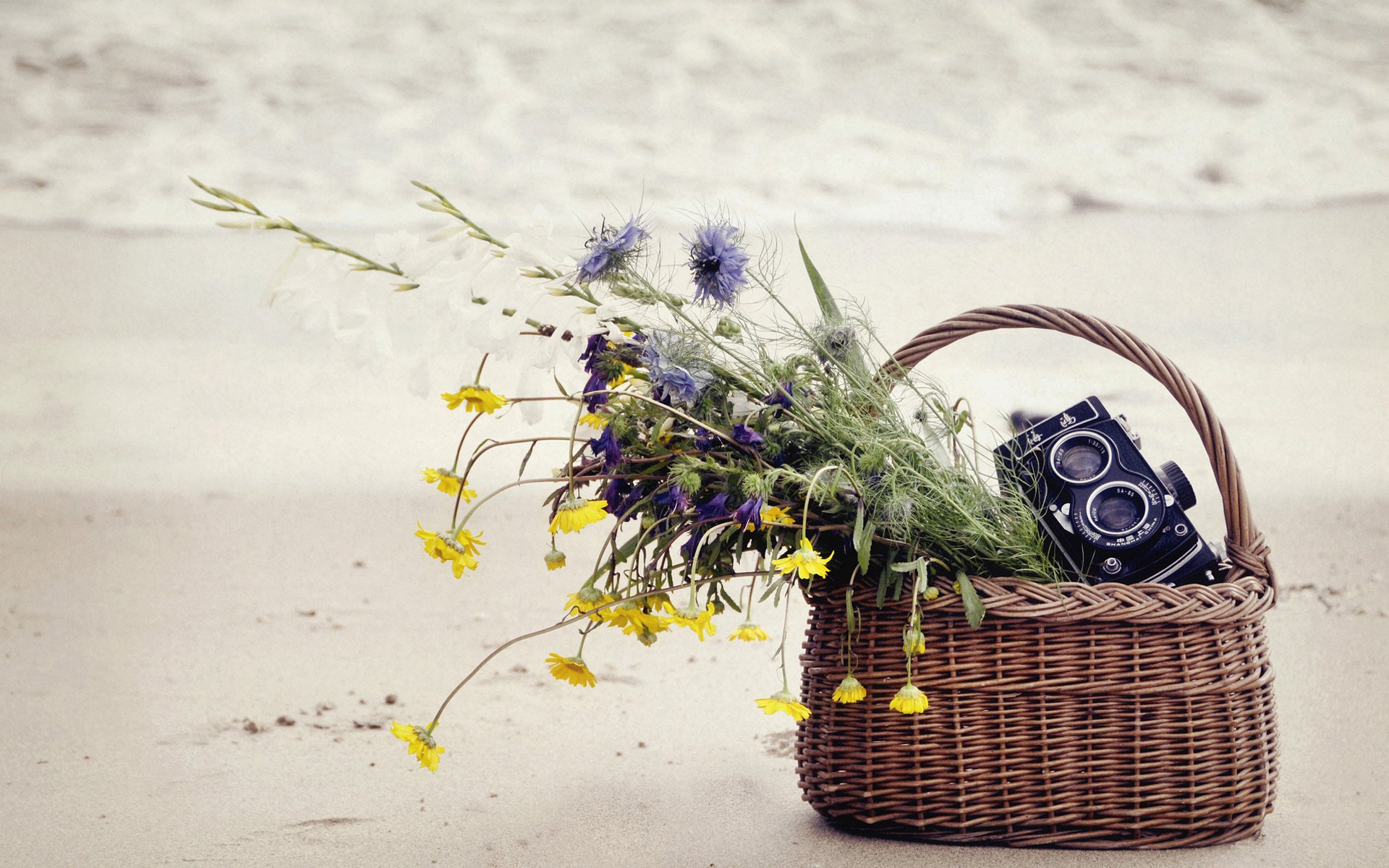 HD desktop wallpaper featuring a wicker basket on the beach, filled with wildflowers and a vintage man-made camera.