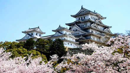 man made Himeji Castle HD Desktop Wallpaper | Background Image