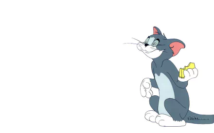 HD desktop wallpaper featuring Tom from the classic TV show Tom and Jerry, happily holding a piece of cheese, embodying the show's playful spirit.