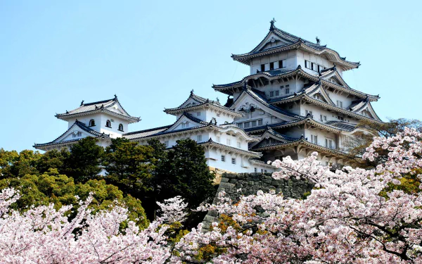 HD desktop wallpaper featuring the man-made Himeji Castle framed by blooming cherry blossoms under a clear blue sky.