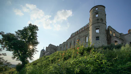 Man-made Janowiec Castle ruins on a grassy hill under a bright sky — 2K Quad HD PC desktop wallpaper and background.