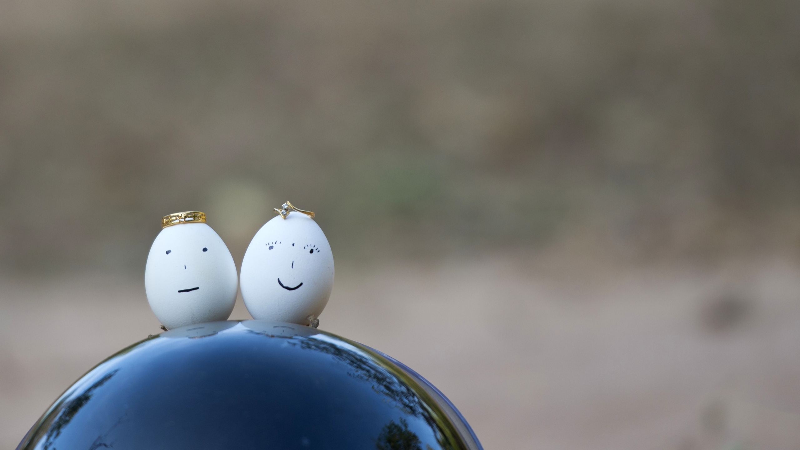 Funny Egg HD Wallpaper