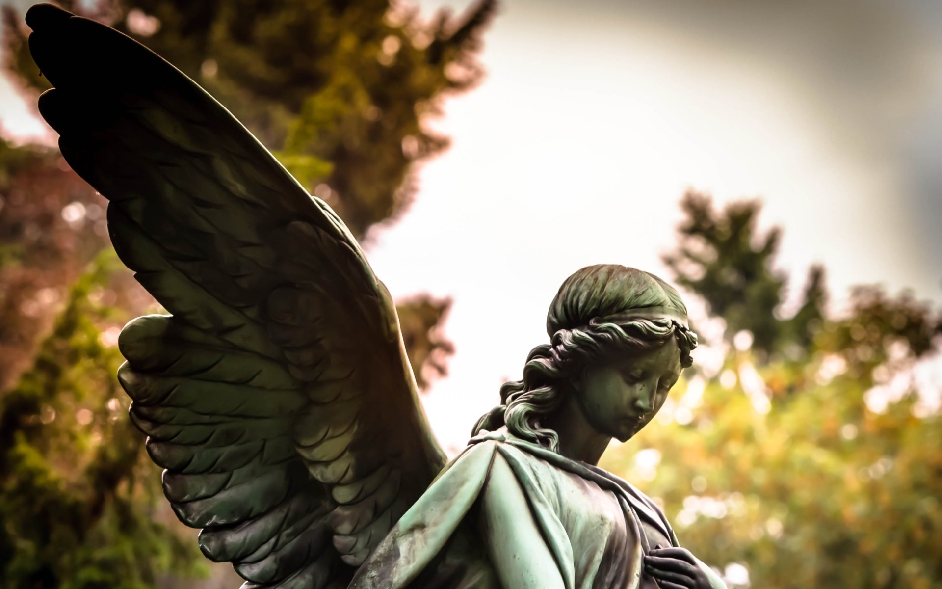 Angel Statue Full HD Wallpaper and Background Image | 2560x1600 | ID:500705
