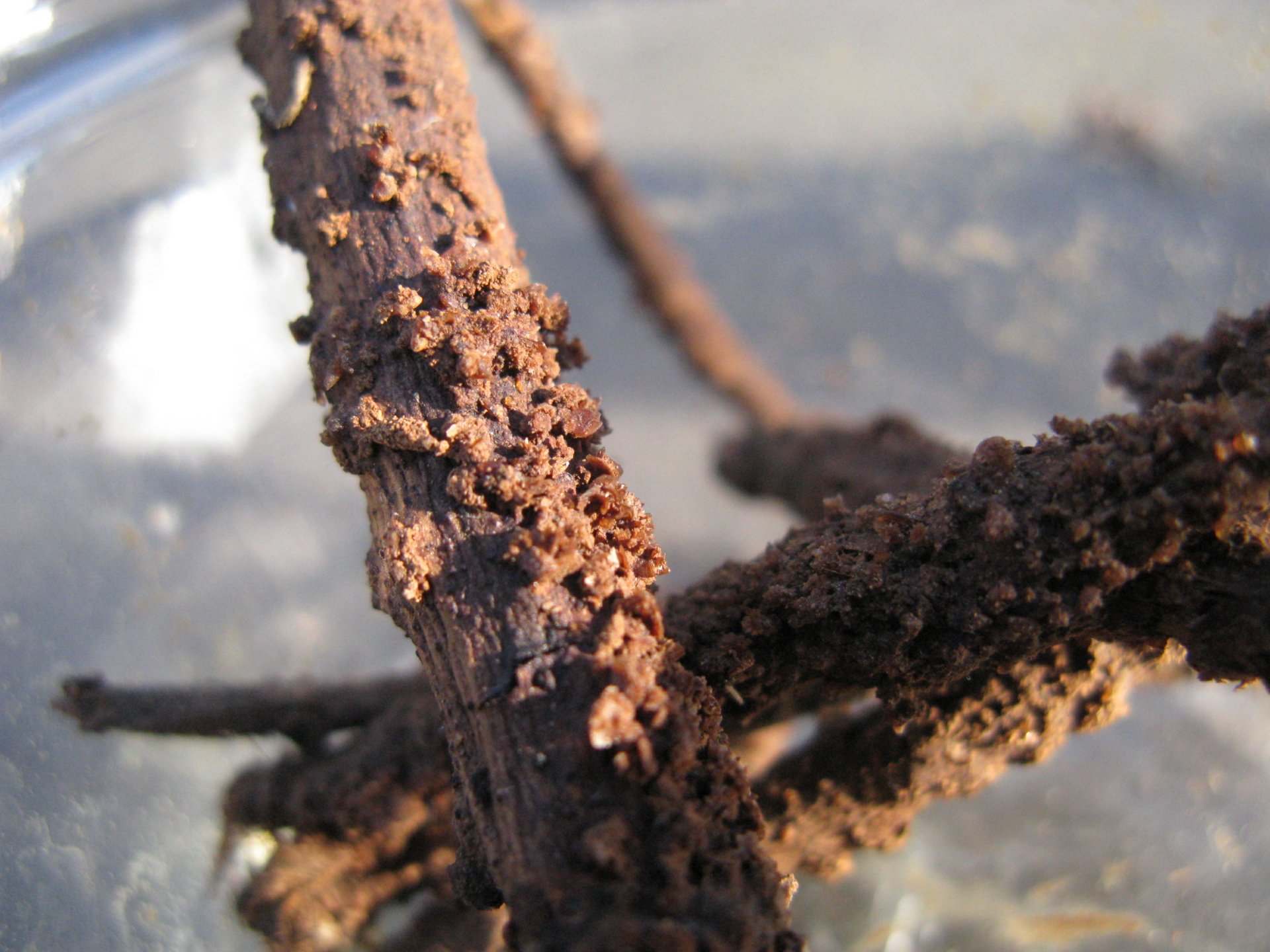 Download Nature Mineral HD Wallpaper