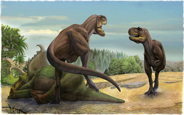Animal dinosaur HD Desktop Wallpaper | Background Image