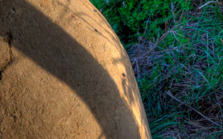 man made Alderney Stone HD Desktop Wallpaper | Background Image