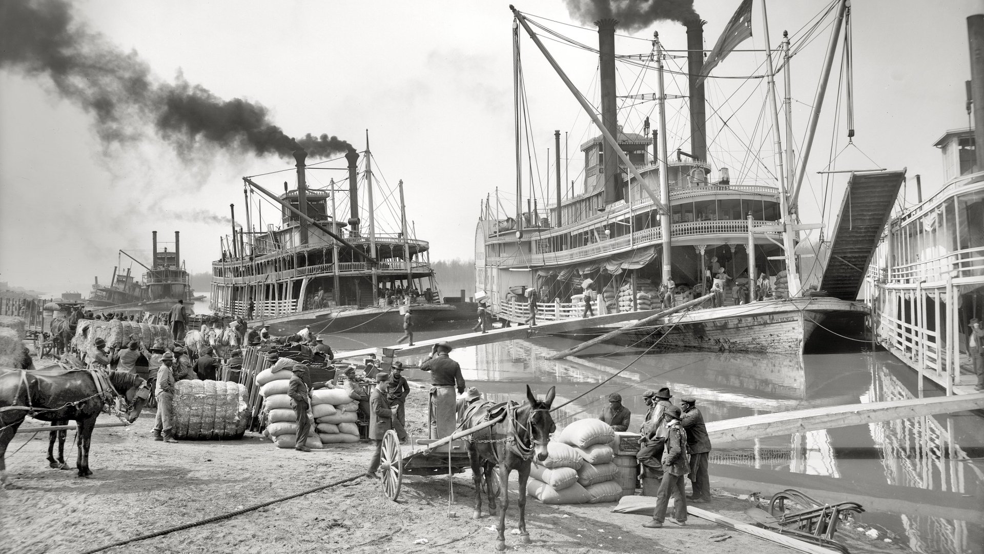 Download Vehicle Steamboat HD Wallpaper