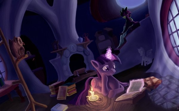 TV Show My Little Pony: Friendship is Magic My Little Pony Twilight Sparkle Owlowiscious HD Wallpaper | Background Image