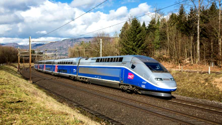 A sleek blue high-speed train glides along the tracks, set against a backdrop of trees and a bright sky, showcasing modern transportation in this HD desktop wallpaper.