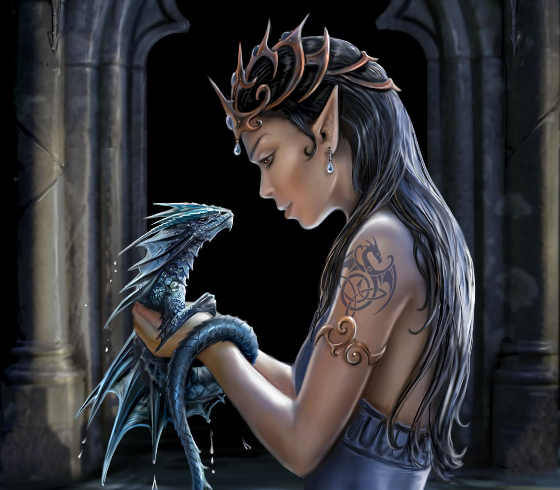 Enchanted Elf and Dragon HD Wallpaper by Anne Stokes