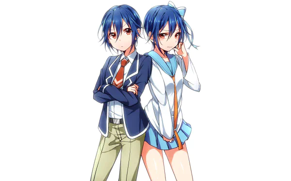 Seishirou Tsugumi from the anime Nisekoi poses as a dual character on this HD desktop wallpaper, showcasing her distinct styles and confident demeanor.