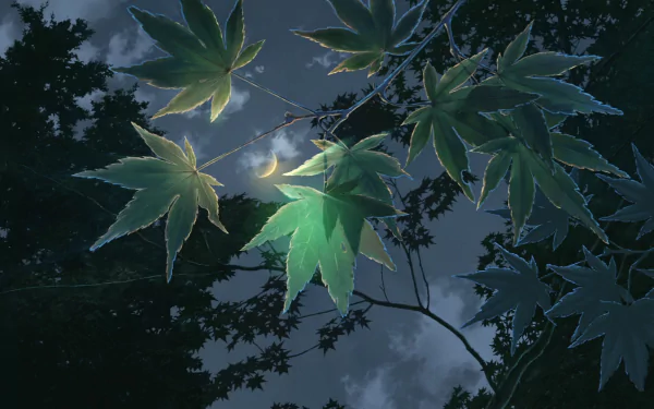 A serene scene from *The Garden of Words*, featuring vibrant green leaves against a dark sky, illuminated by a soft crescent moon, creating a tranquil atmosphere for an HD desktop wallpaper.