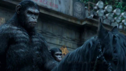 HD desktop wallpaper from the movie Dawn of the Planet of the Apes, featuring a close-up of an ape riding a horse in a detailed urban setting.