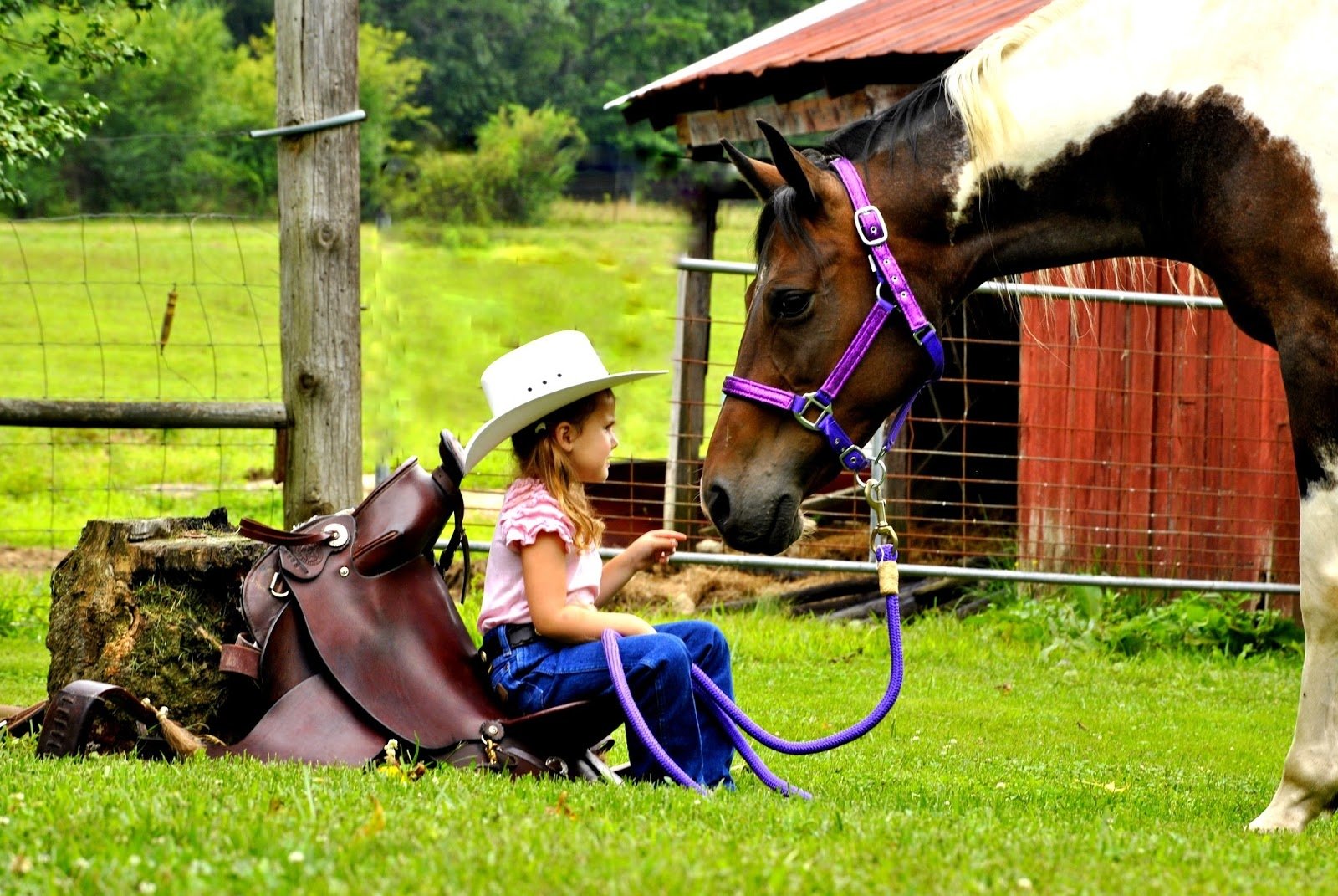 Photography, child — HD PC desktop wallpaper/background of a girl in a cowboy hat sitting on grass, petting a brown-and-white horse in a purple halter beside a fence and red barn.