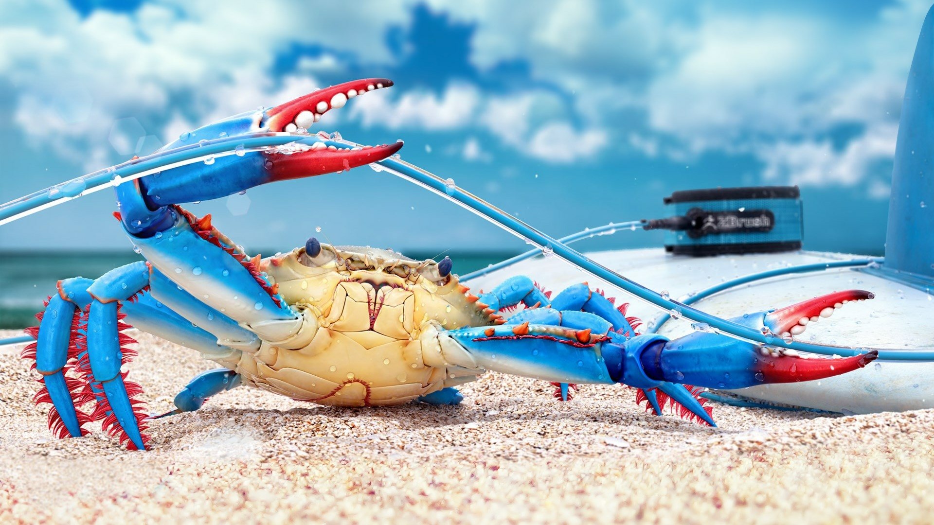 Download Sun Beach Animal Crab HD Wallpaper   Thumb 1920 511029 