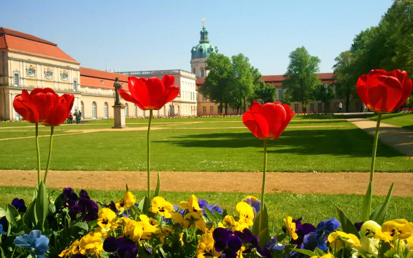man made Charlottenburg Palace HD Desktop Wallpaper | Background Image