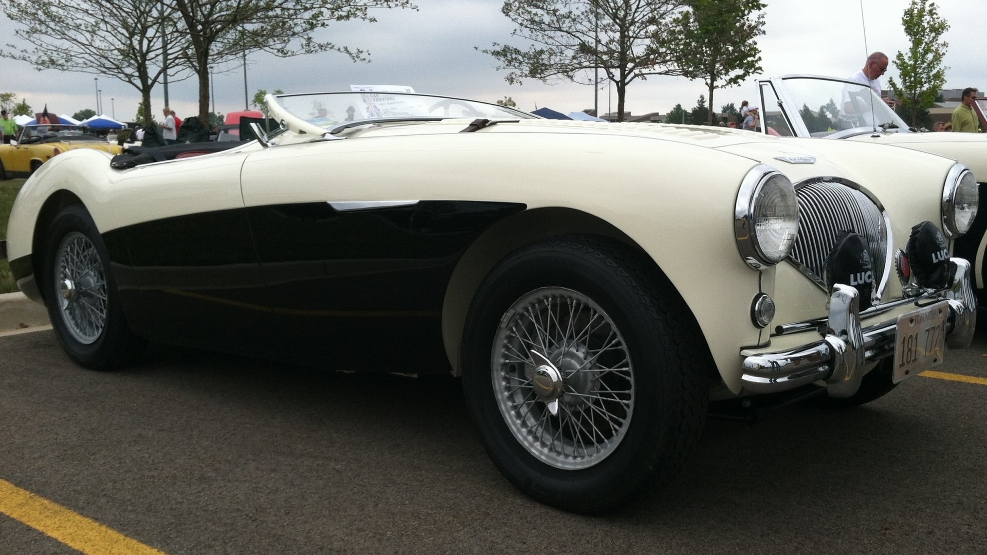 Download Vehicle Austin-Healey 100 HD Wallpaper
