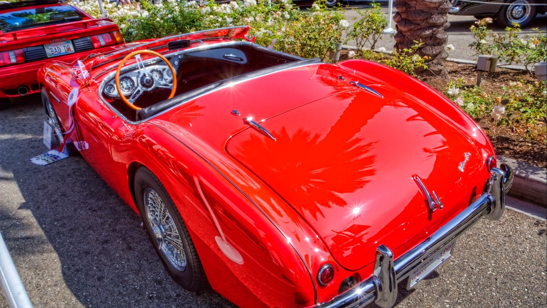 Download Vehicle Austin-Healey 100 HD Wallpaper