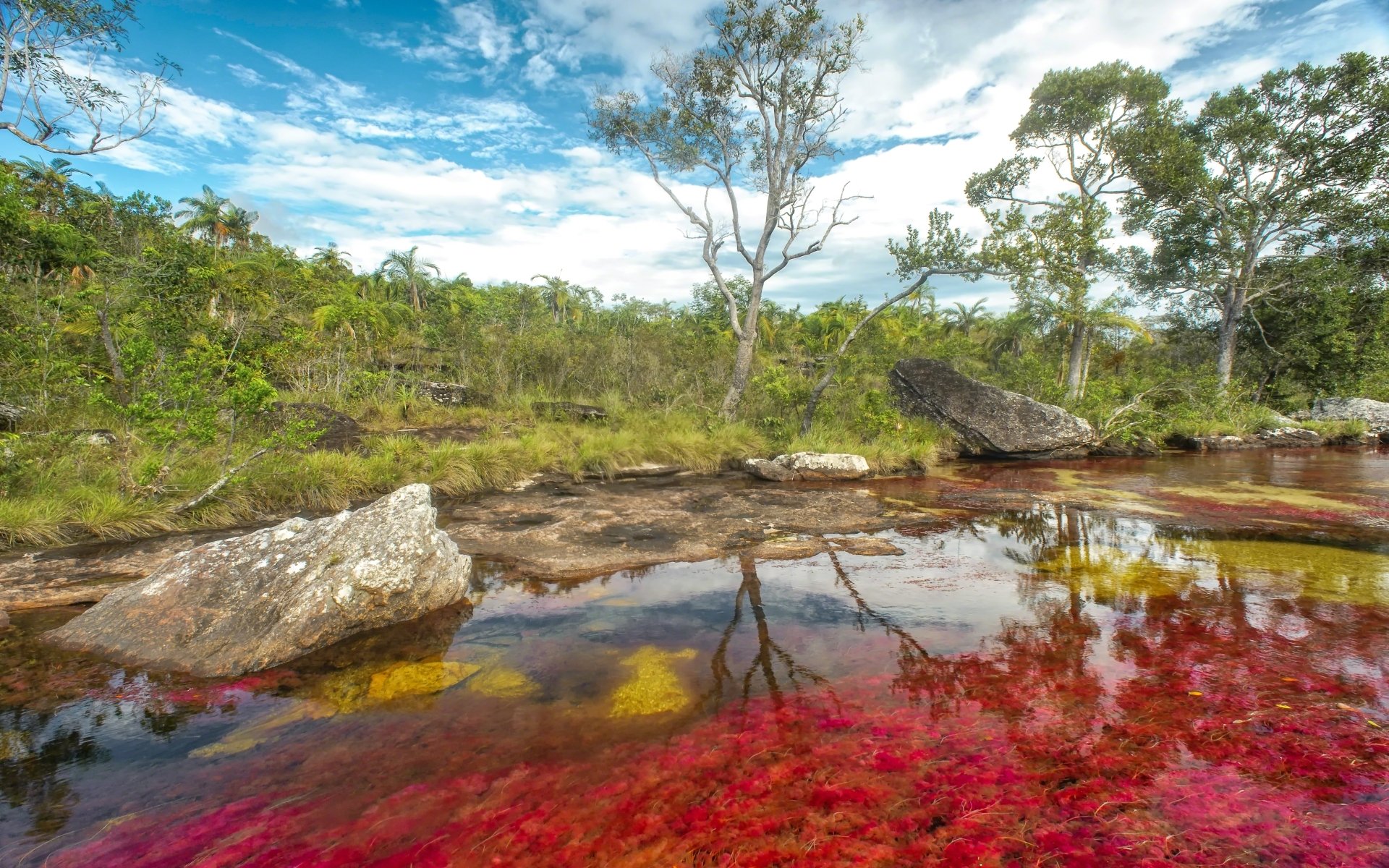 Download Nature Caño Cristales HD Wallpaper