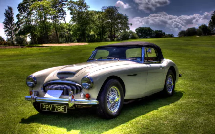 vehicle Austin-Healey 3000 HD Desktop Wallpaper | Background Image