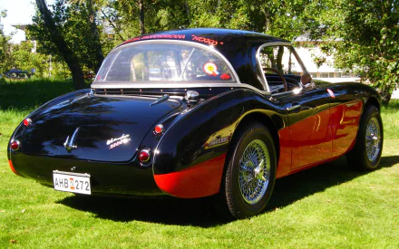 vehicle Austin-Healey 3000 HD Desktop Wallpaper | Background Image