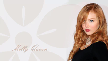 American actress Celebrity Molly Quinn HD Desktop Wallpaper | Background Image