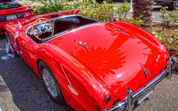 vehicle Austin-Healey 100 HD Desktop Wallpaper | Background Image