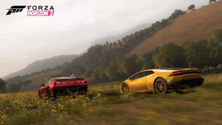 HD PC desktop wallpaper featuring dynamic racing cars in a scenic countryside from the video game Forza Horizon 2.