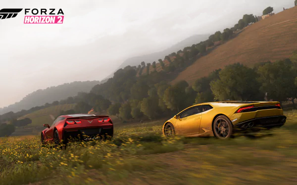 HD PC desktop wallpaper featuring dynamic racing cars in a scenic countryside from the video game Forza Horizon 2.