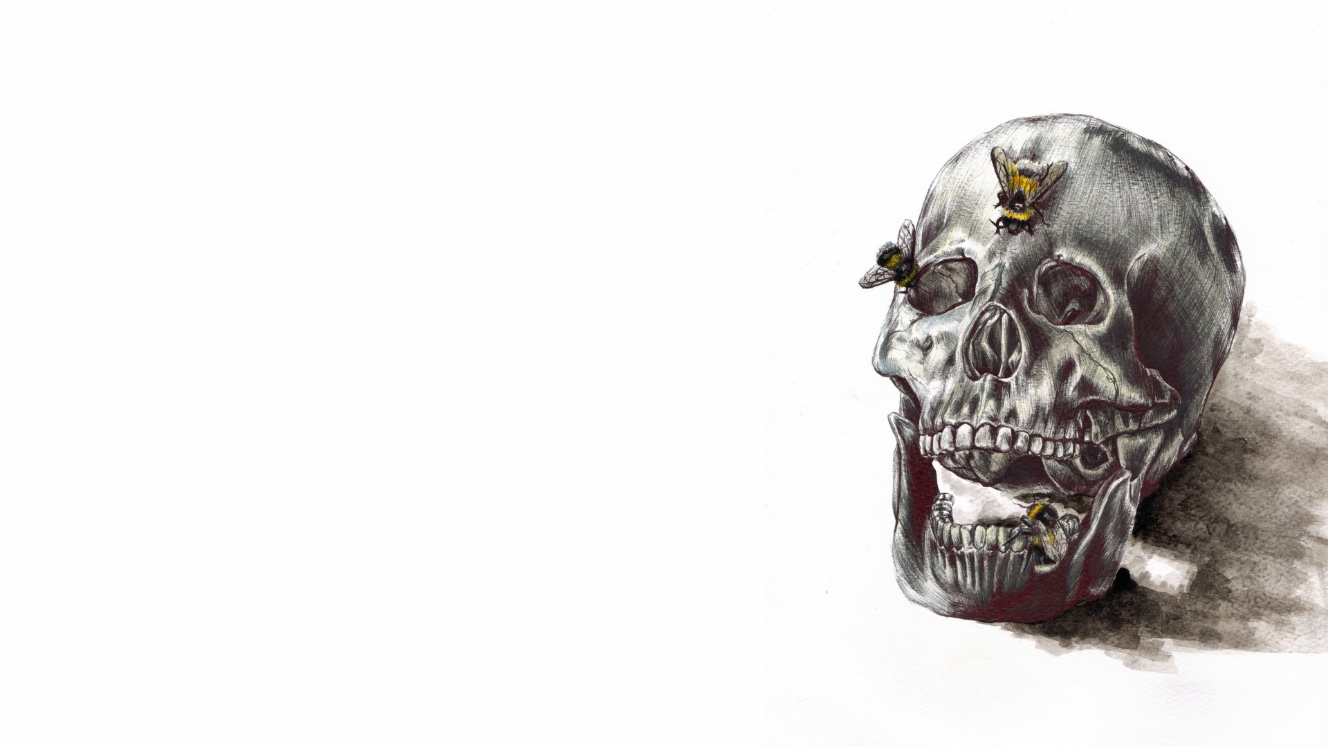 Download Dark Skull 8k Ultra HD Wallpaper