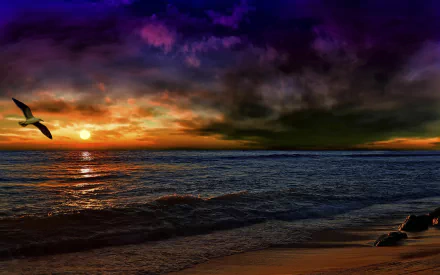 A serene sunset over the ocean, with vibrant colors reflecting on the water. A seagull gracefully glides through the cloudy sky, creating a peaceful natural scene.